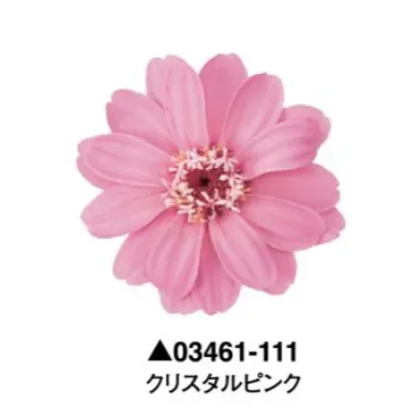 日本大地農園 百日草