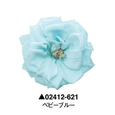 日本大地農園 瑪麗安娜玫瑰 薔薇