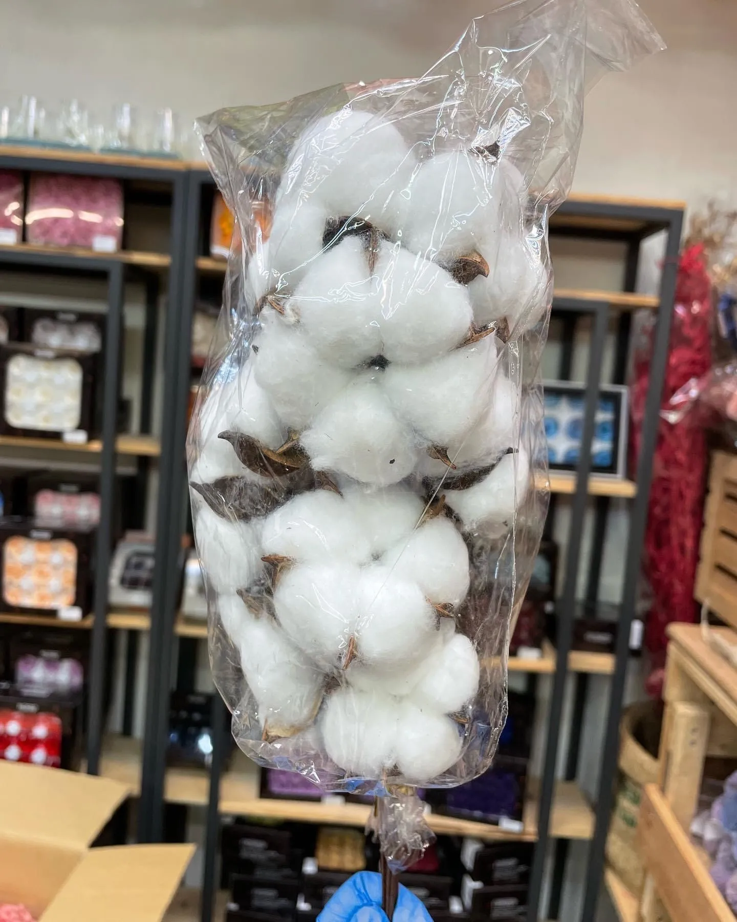 五瓣白色手工棉花