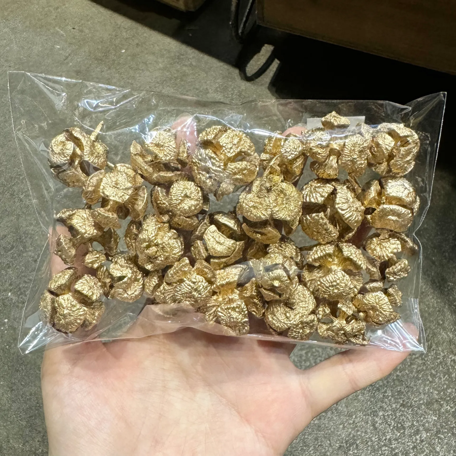 金足球果