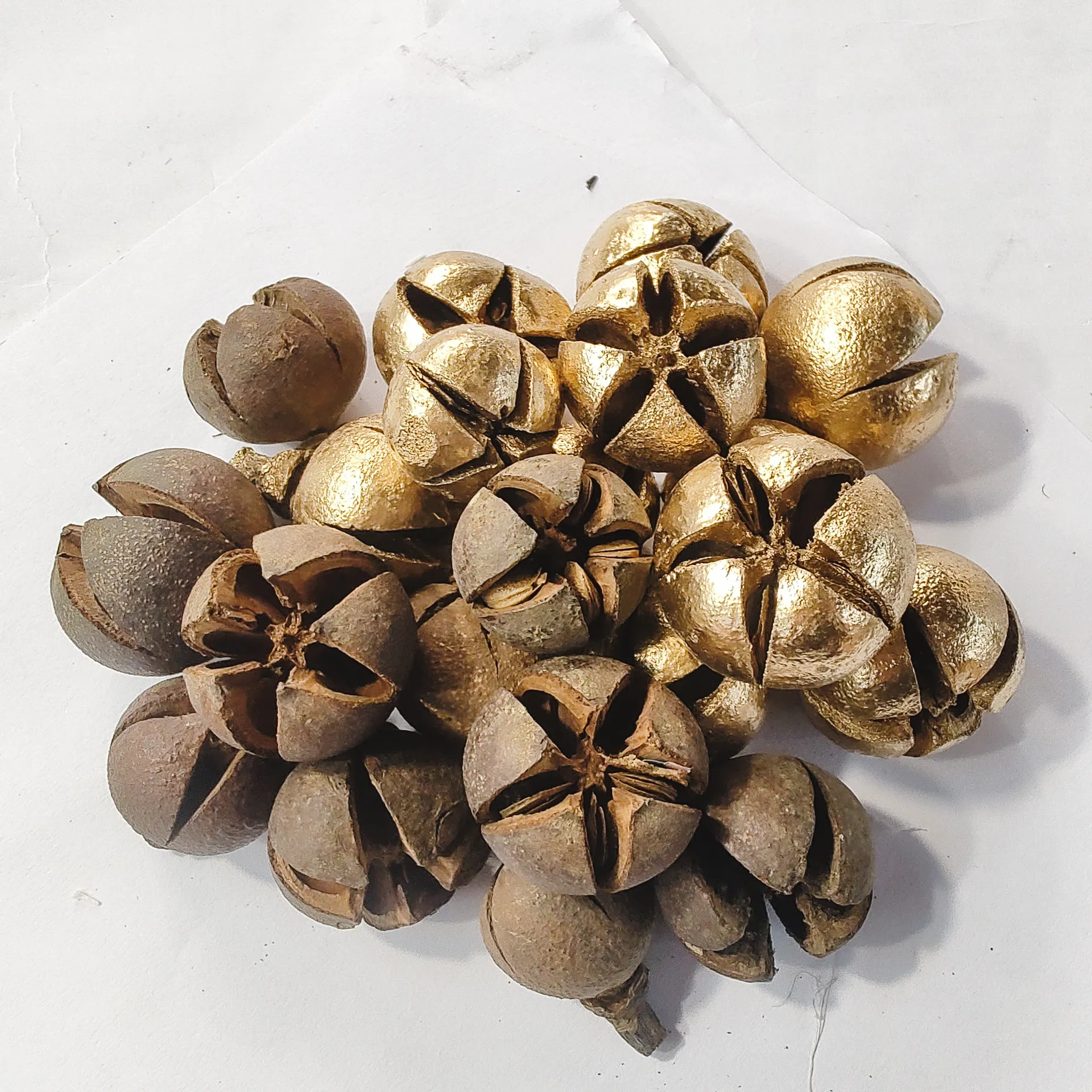 開心果 紫薇果 大顆