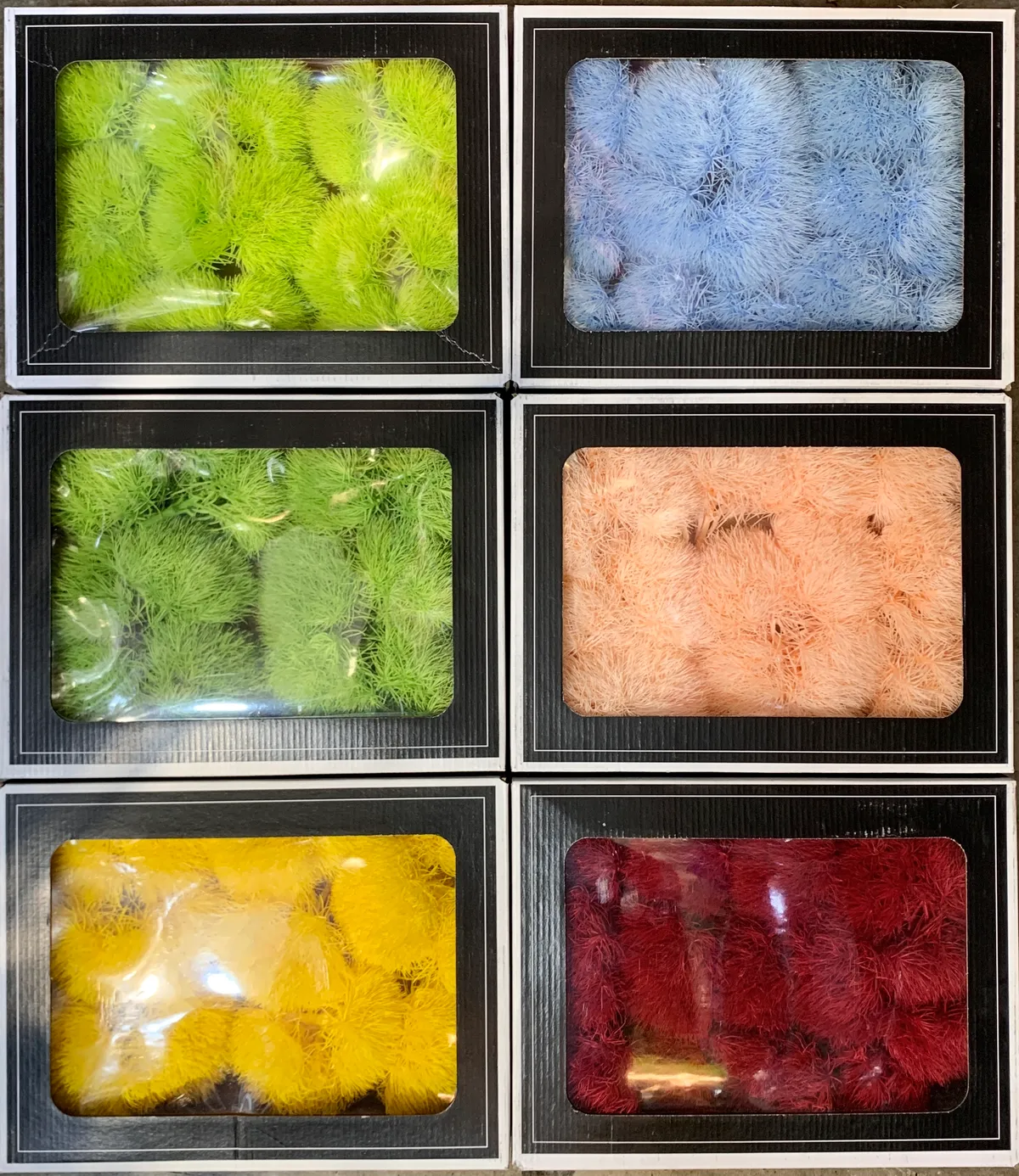 厄瓜多 RoseAmor 永生石竹