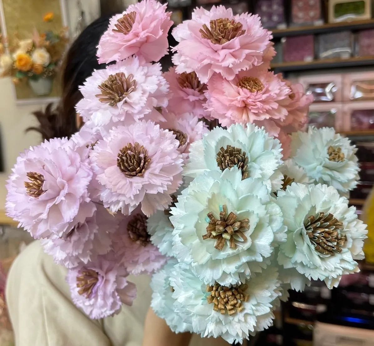 索拉重瓣百日草