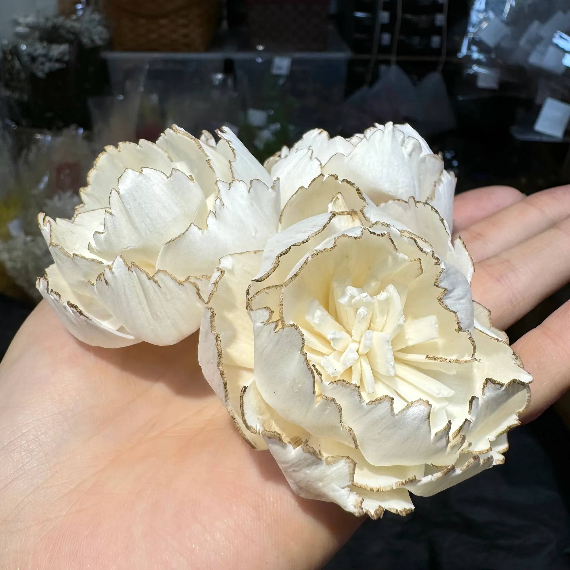 限量特價✨索拉滾邊牡丹5公分(袋裝)