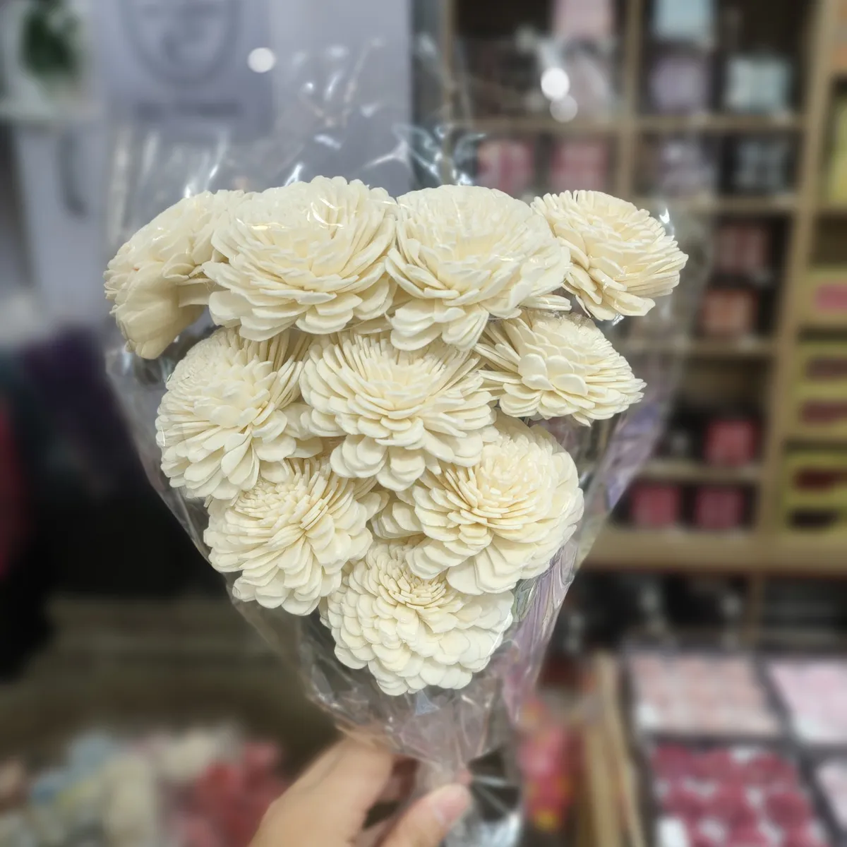 索拉貝莉玫瑰大 白 太陽玫瑰