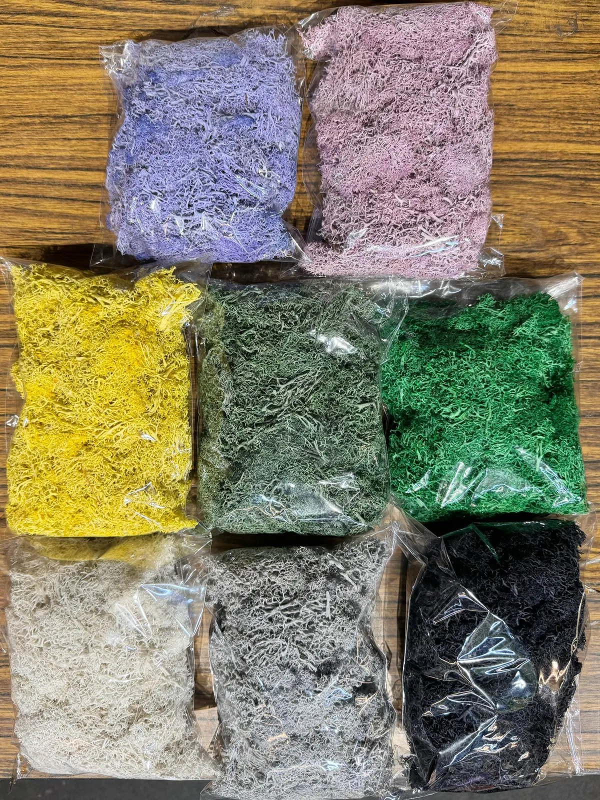 永生苔蘚 馴鹿苔 Moss 小包