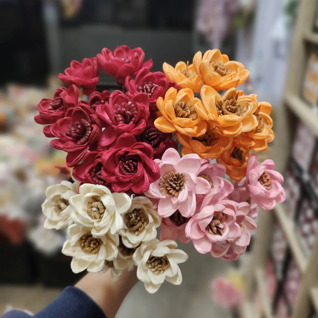 索拉雙色梔子花 4公分
