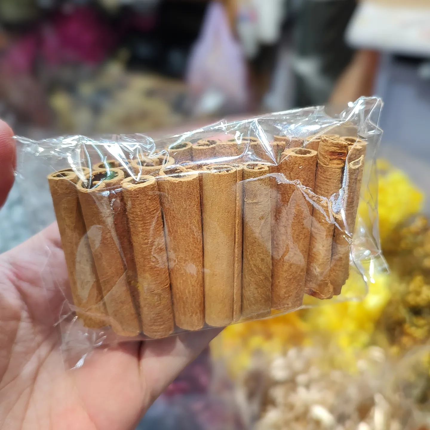 短枝肉桂