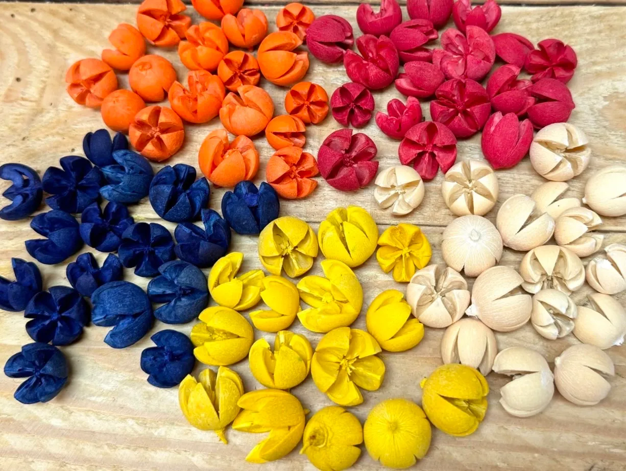 開心果 紫薇果 小顆