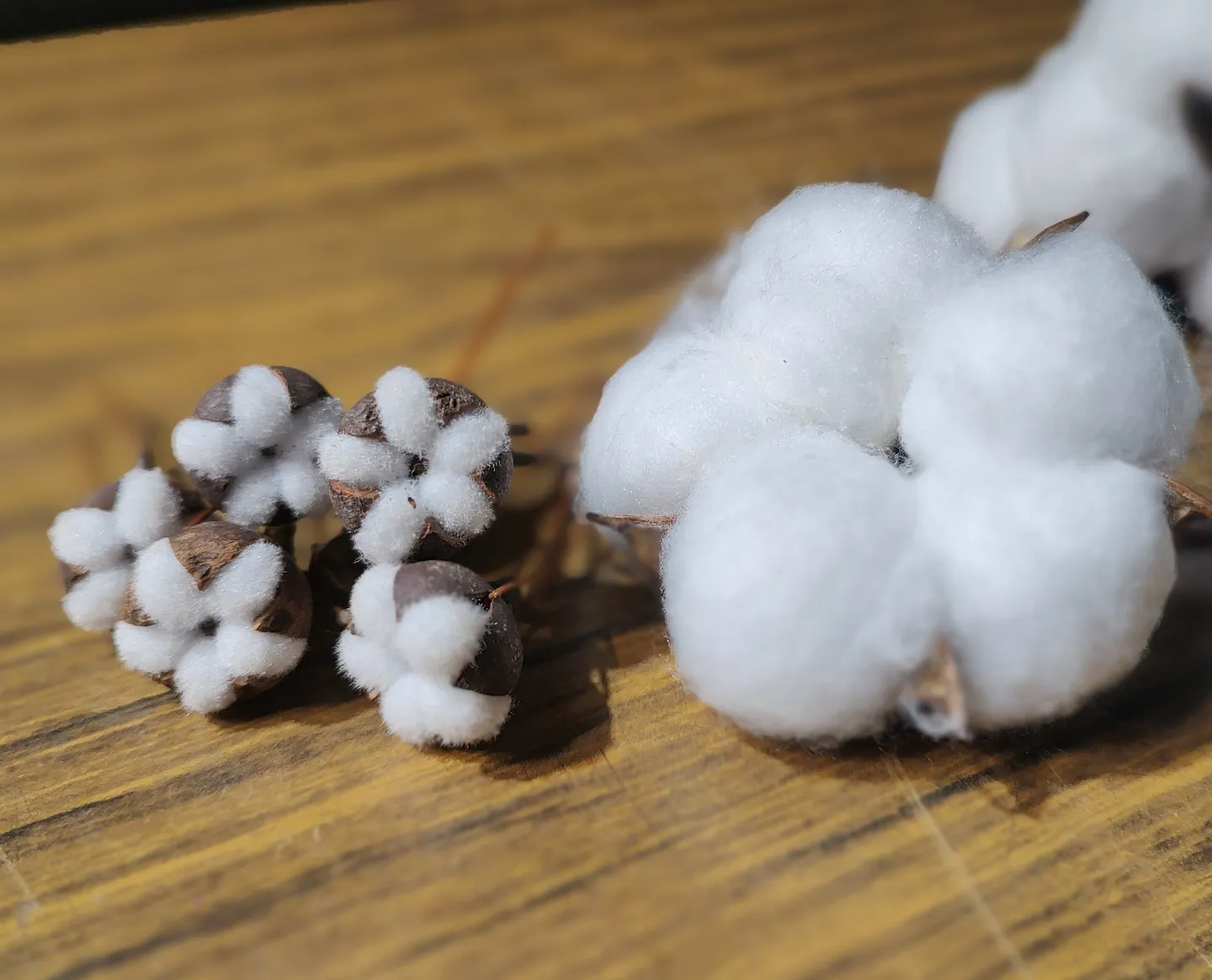 迷你手工棉花