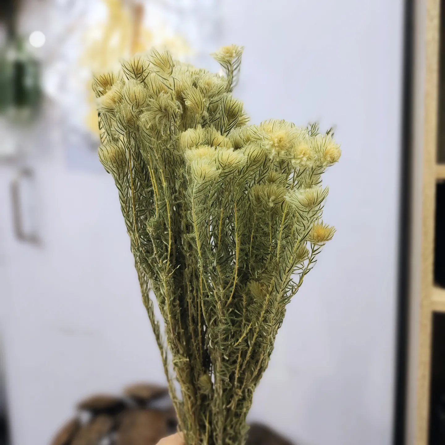 乾燥毛筆花