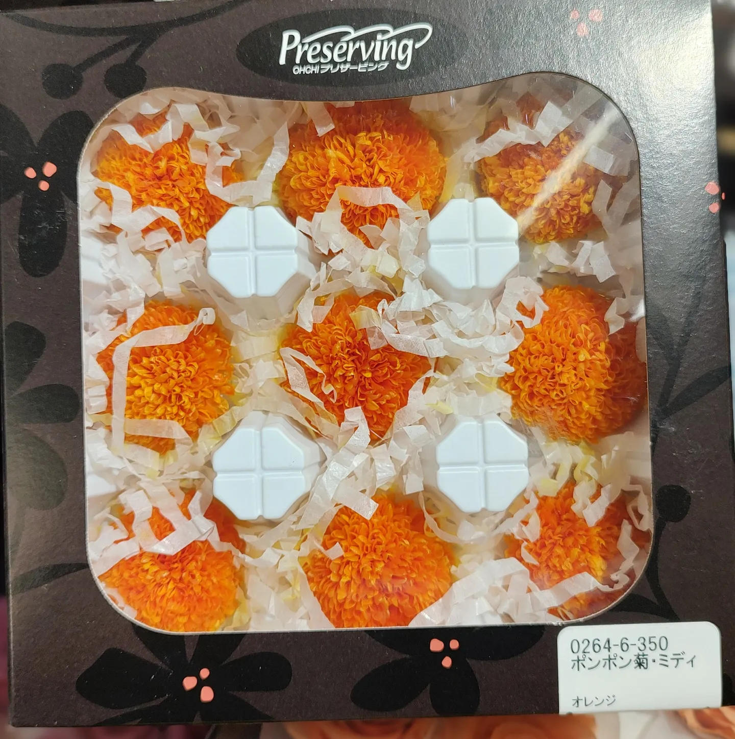 日本大地農園 乒乓菊
