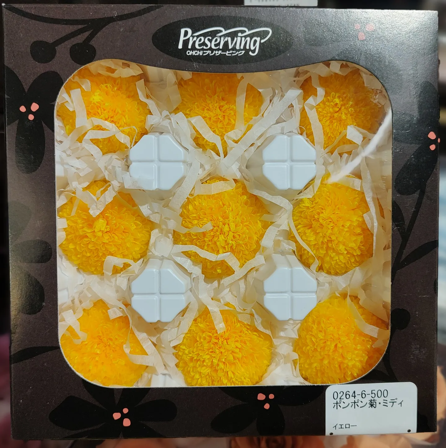日本大地農園 乒乓菊