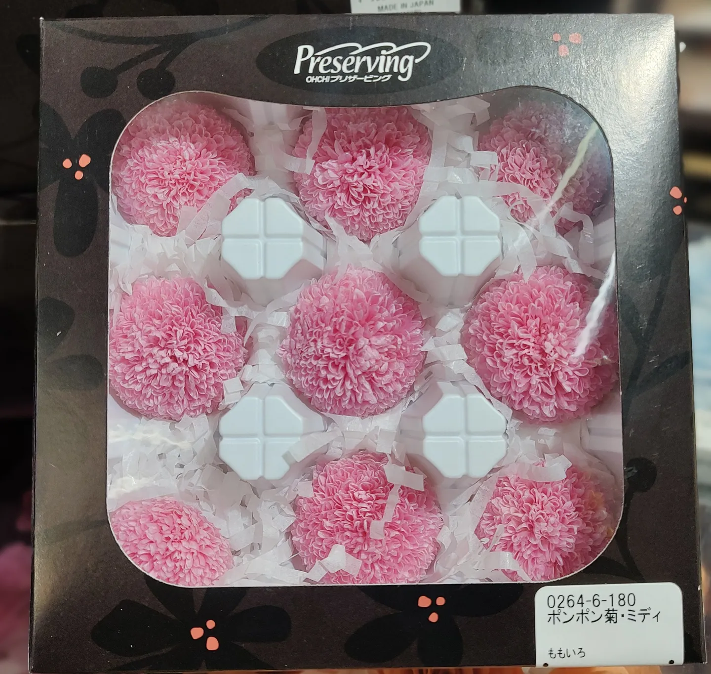 日本大地農園 乒乓菊
