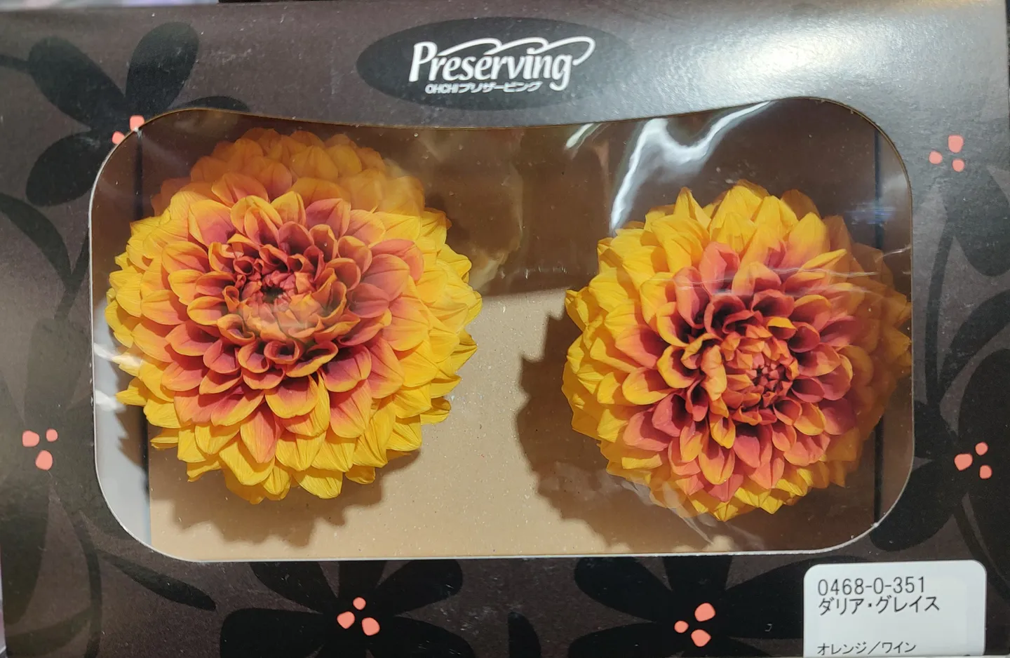 *日本大地農園 永生大理花 橘紅