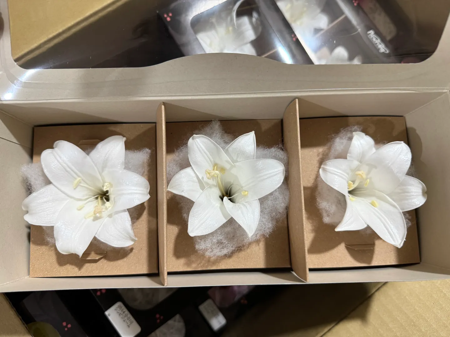 日本大地農園 永生百合 小