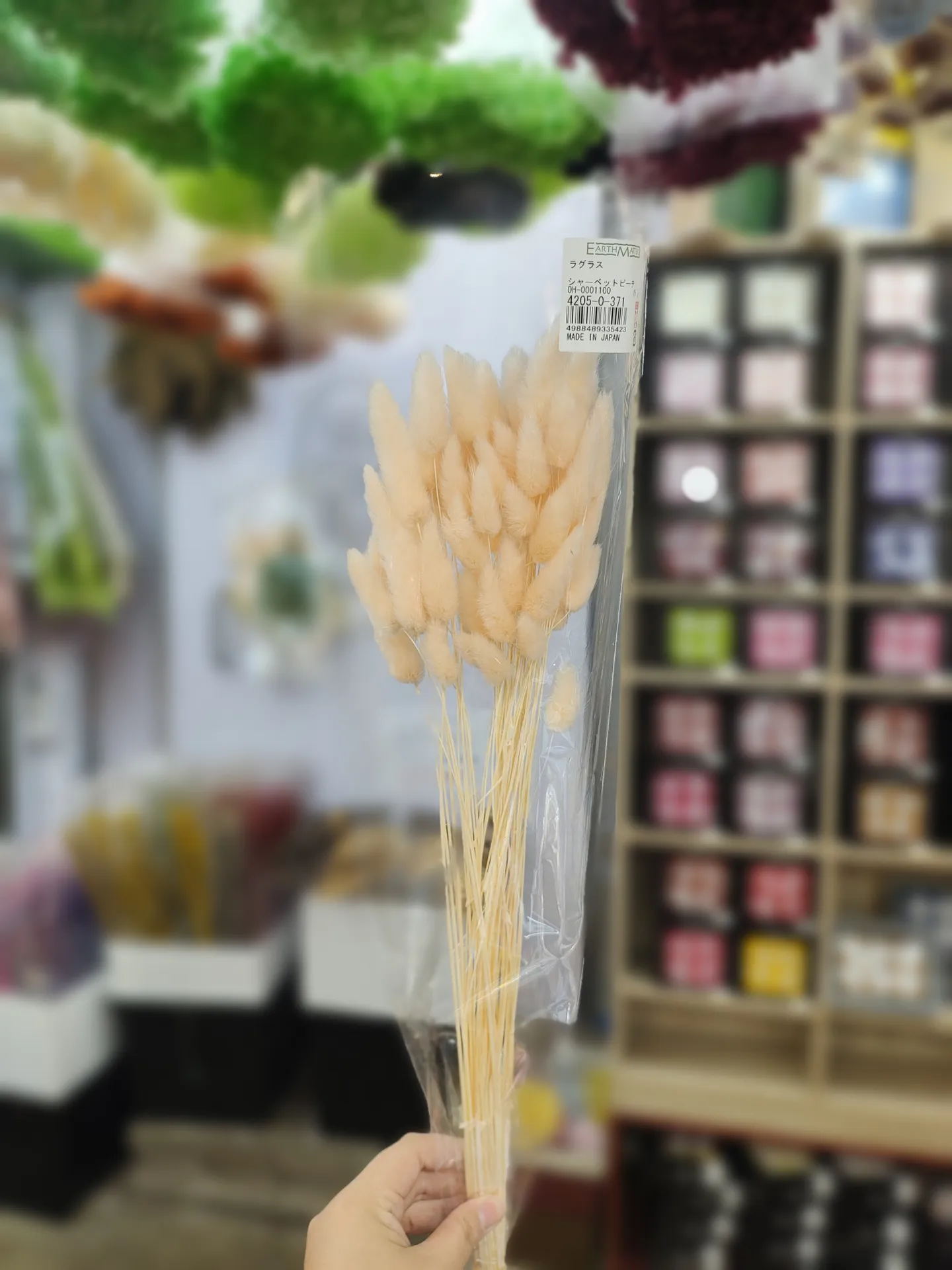 日本大地農園 乾燥兔尾草