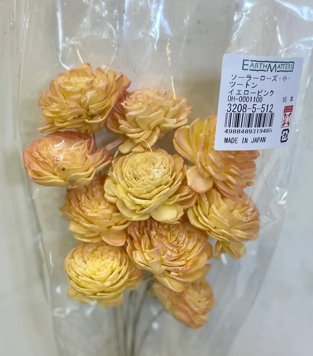 日本大地農園 索拉貝莉玫瑰 小 粉黃漸層  太陽玫瑰