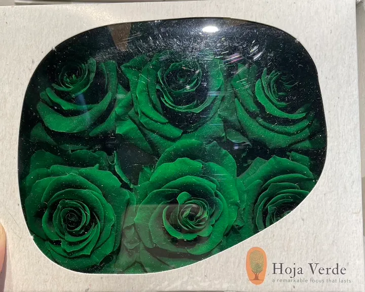 厄瓜多 Hoja Verde 大玫瑰 深綠