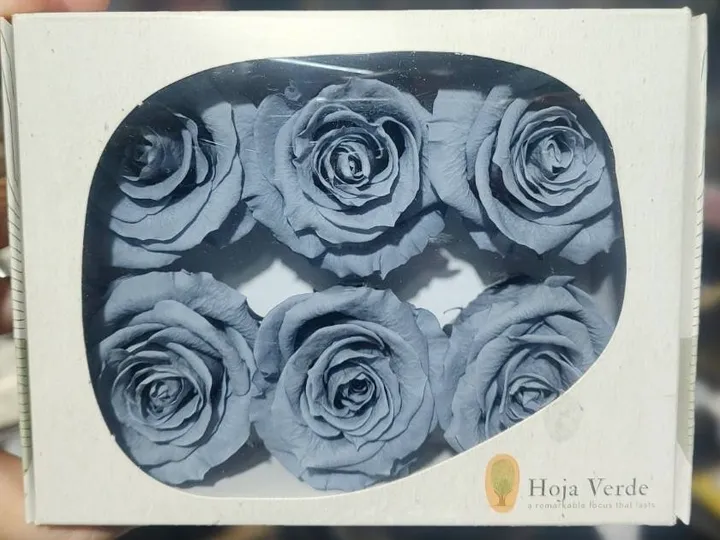 厄瓜多 Hoja Verde 大玫瑰 深藍灰