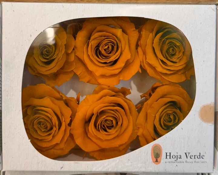 厄瓜多 Hoja Verde 大玫瑰 復古橘