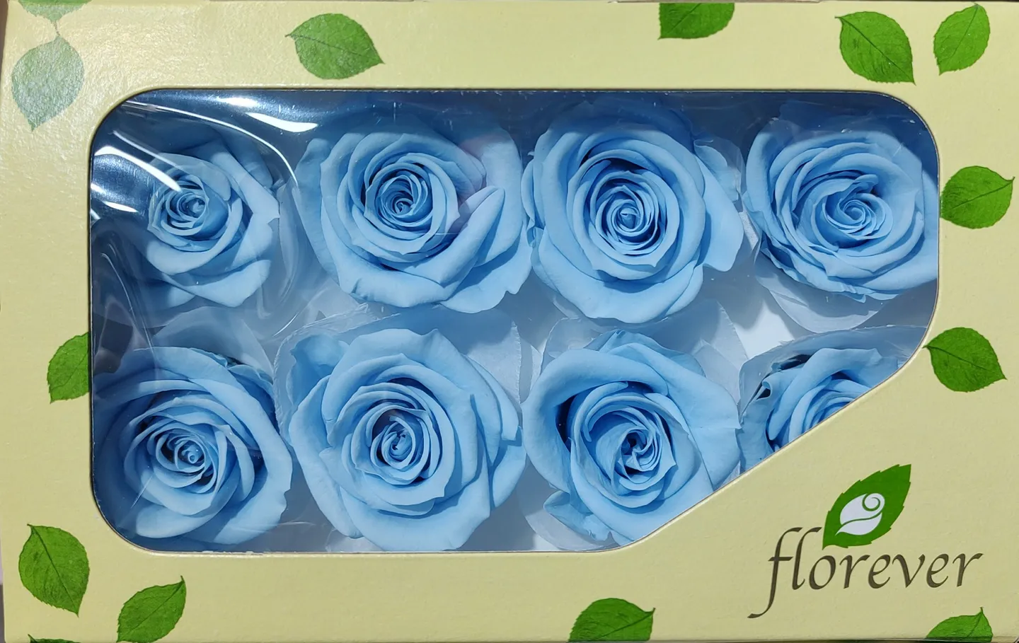 日本Florever 中玫瑰