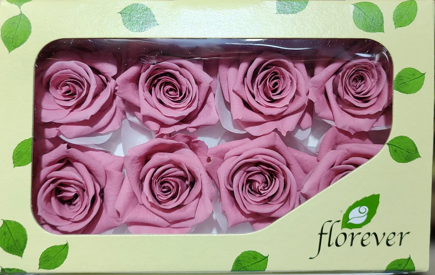 日本Florever 中玫瑰