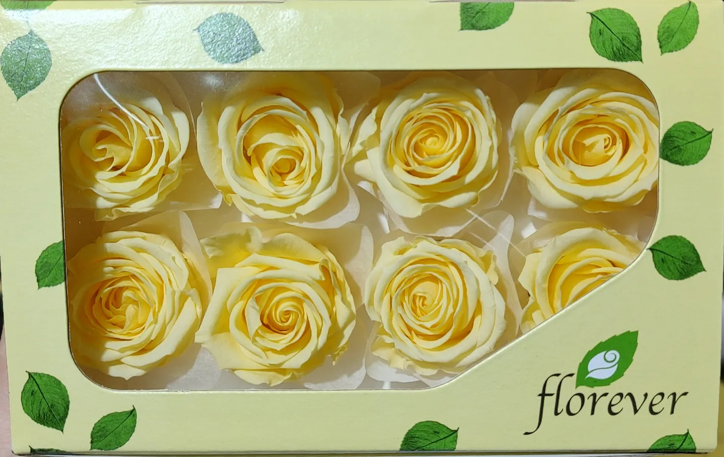 日本Florever 中玫瑰