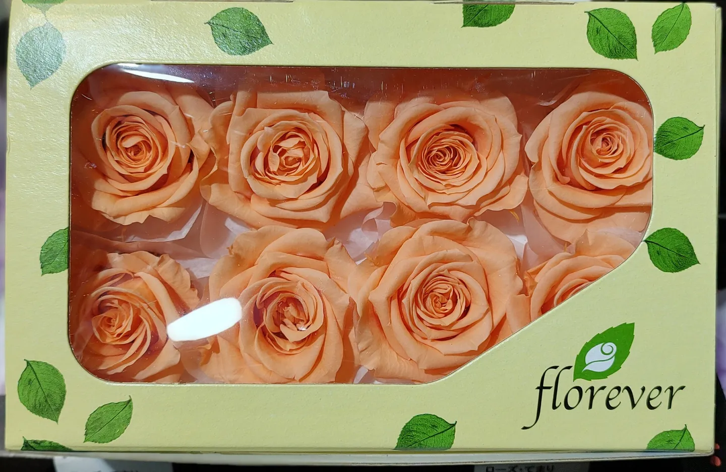 日本Florever 中玫瑰