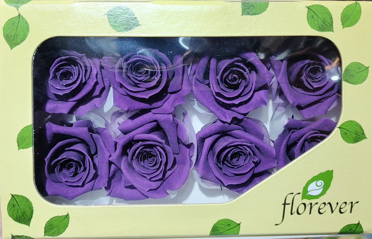 日本Florever 中玫瑰