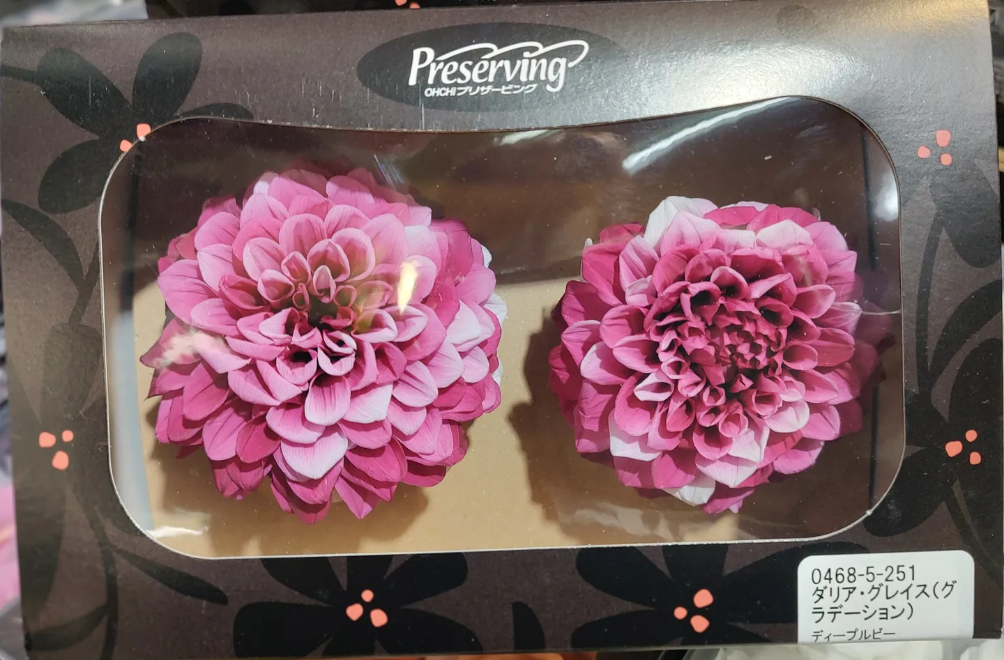 *日本大地農園 永生大理花 莓果紅漸層