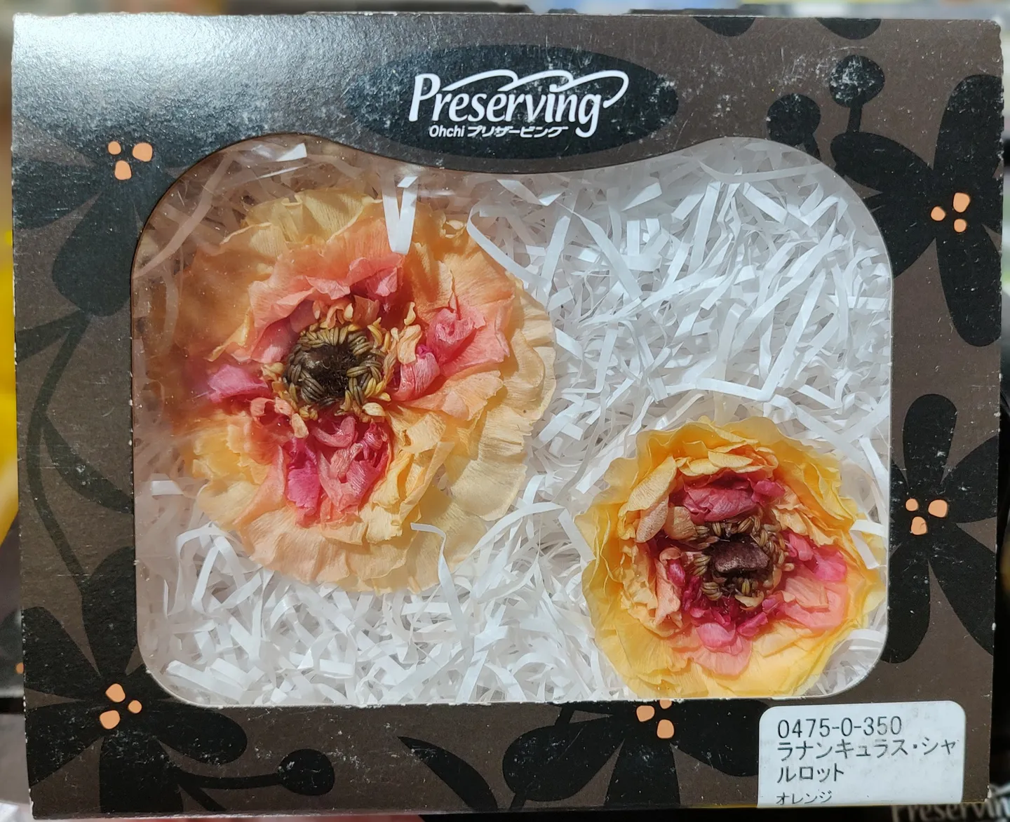 日本大地農園 蝴蝶陸蓮
