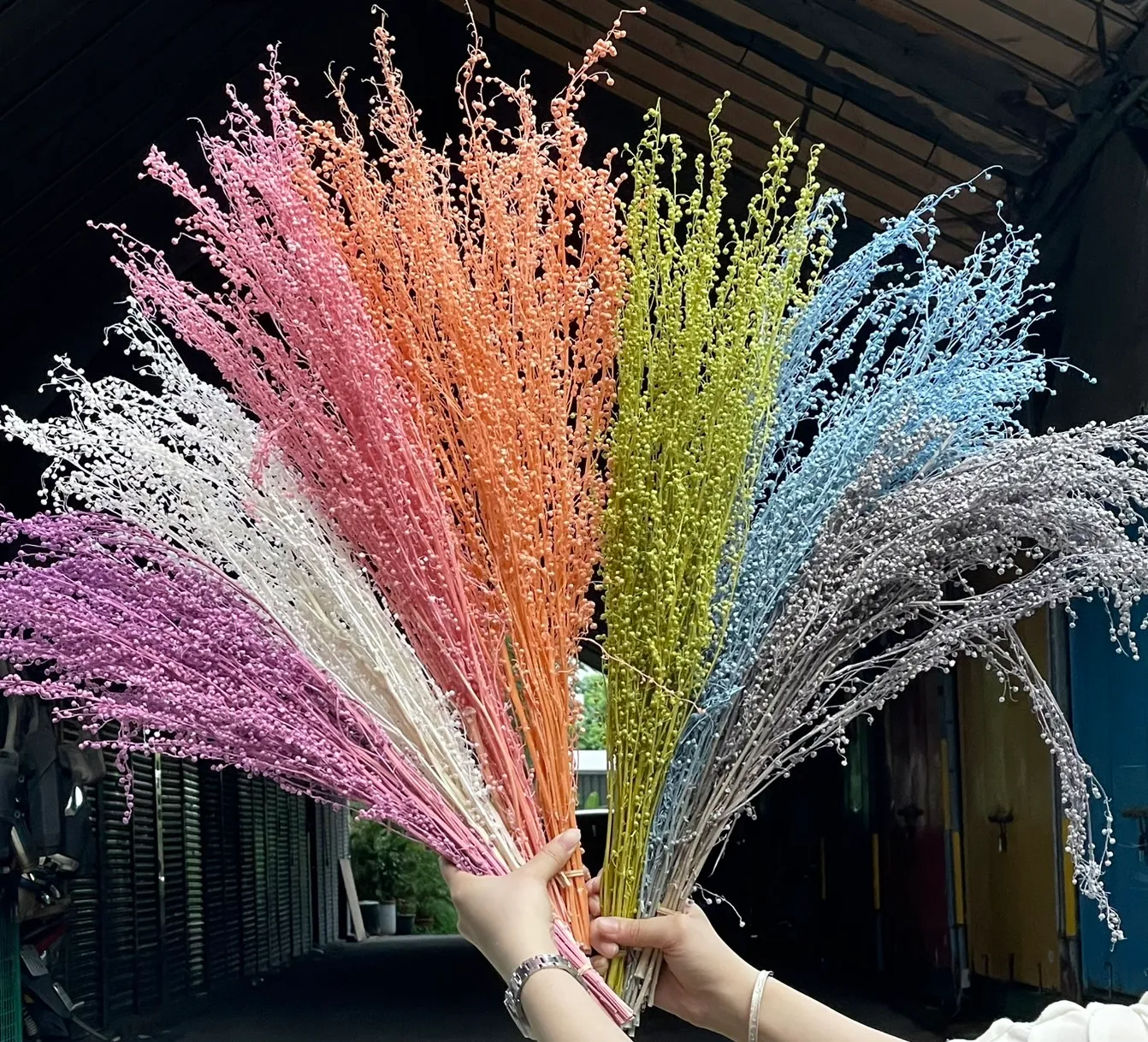 永生迷你臨花