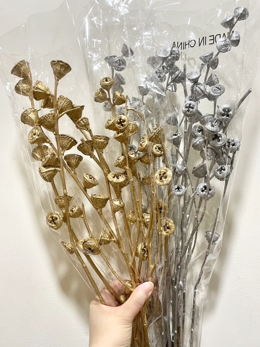 乾燥十字尤加利果實 鈕扣果