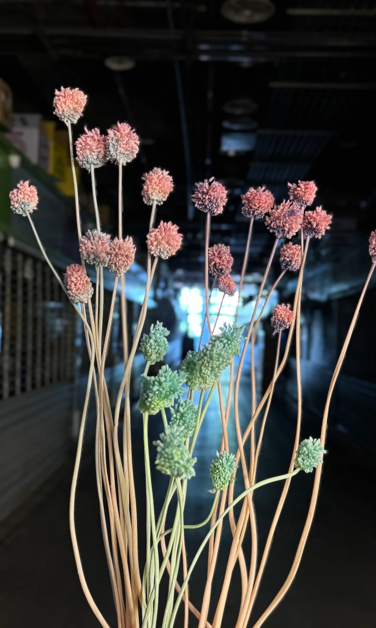 永生彎蔥