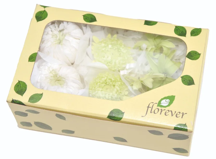 日本Florever 輪菊紫苑永生花組合 綠色系