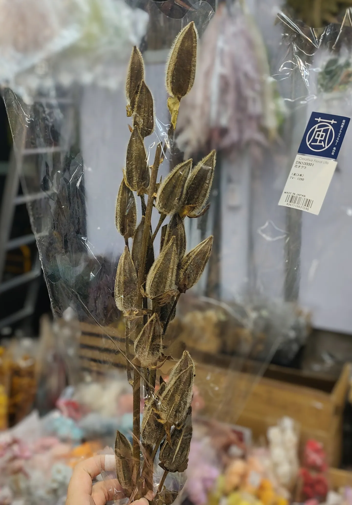 日本 乾燥秋葵