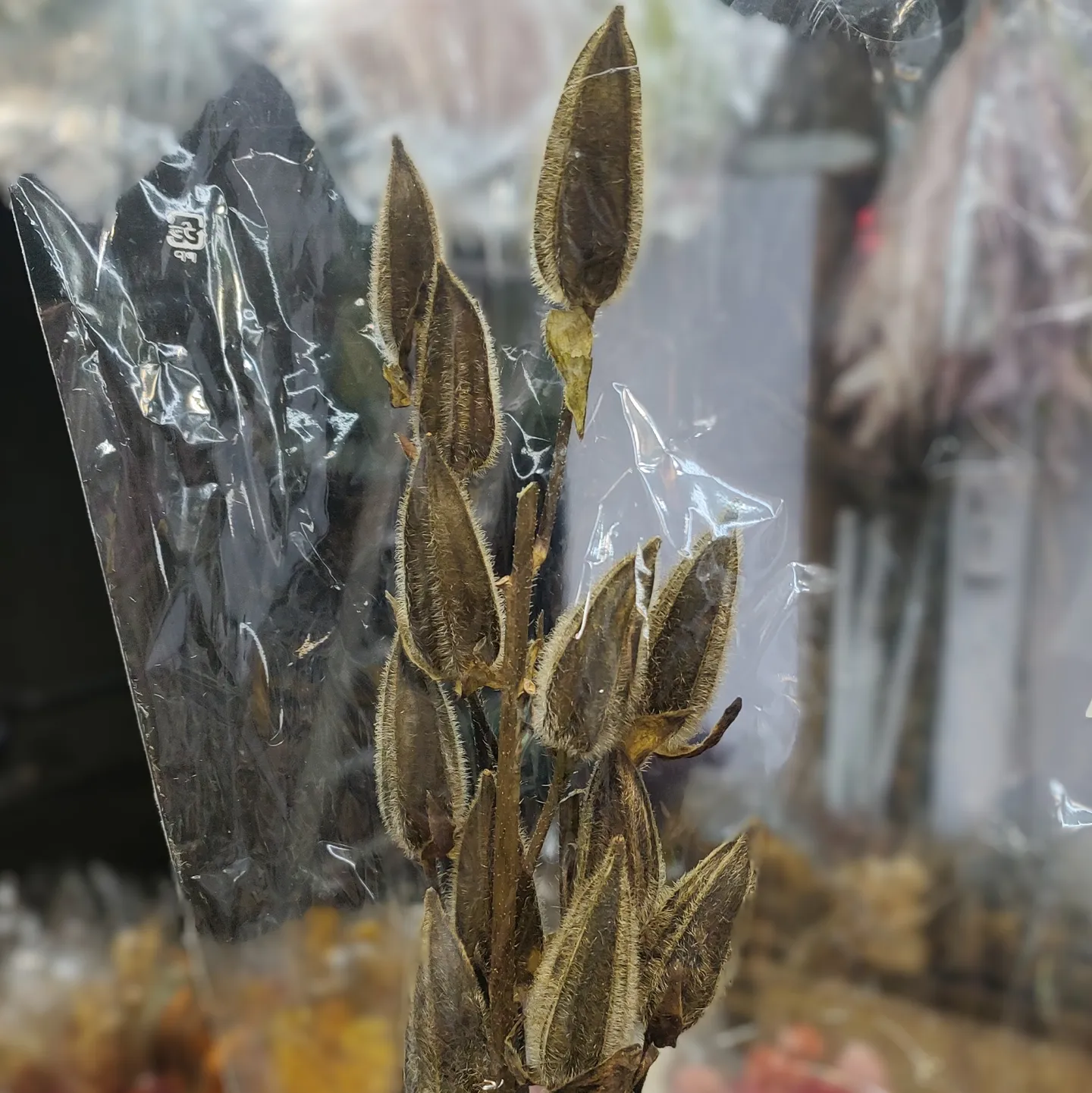 日本 乾燥秋葵