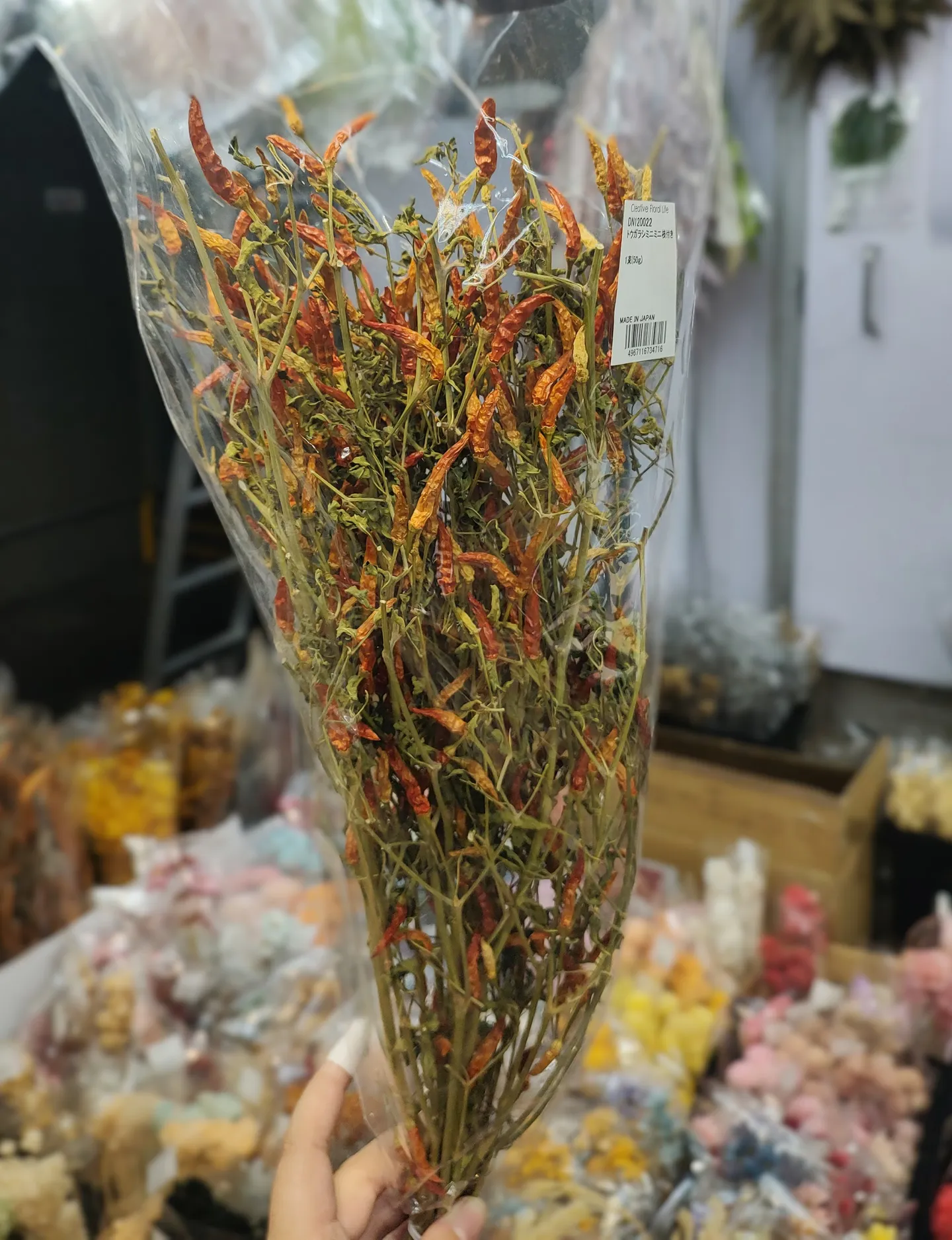 日本 乾燥迷你辣椒