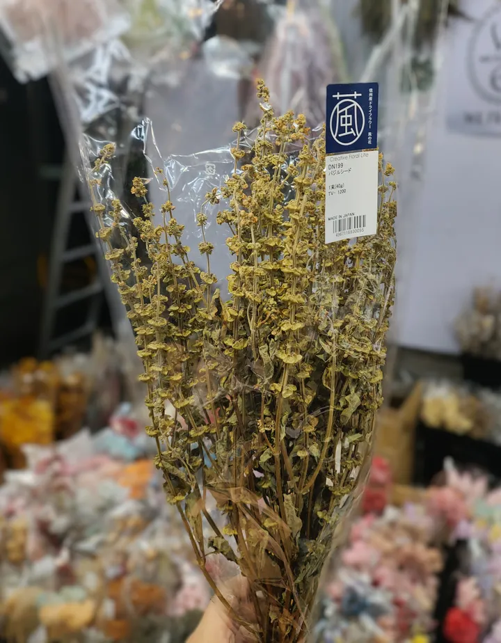 日本 乾燥羅勒