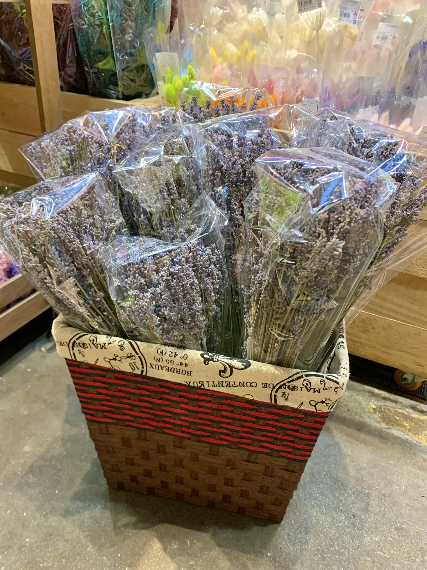 歐洲乾燥薰衣草 長枝