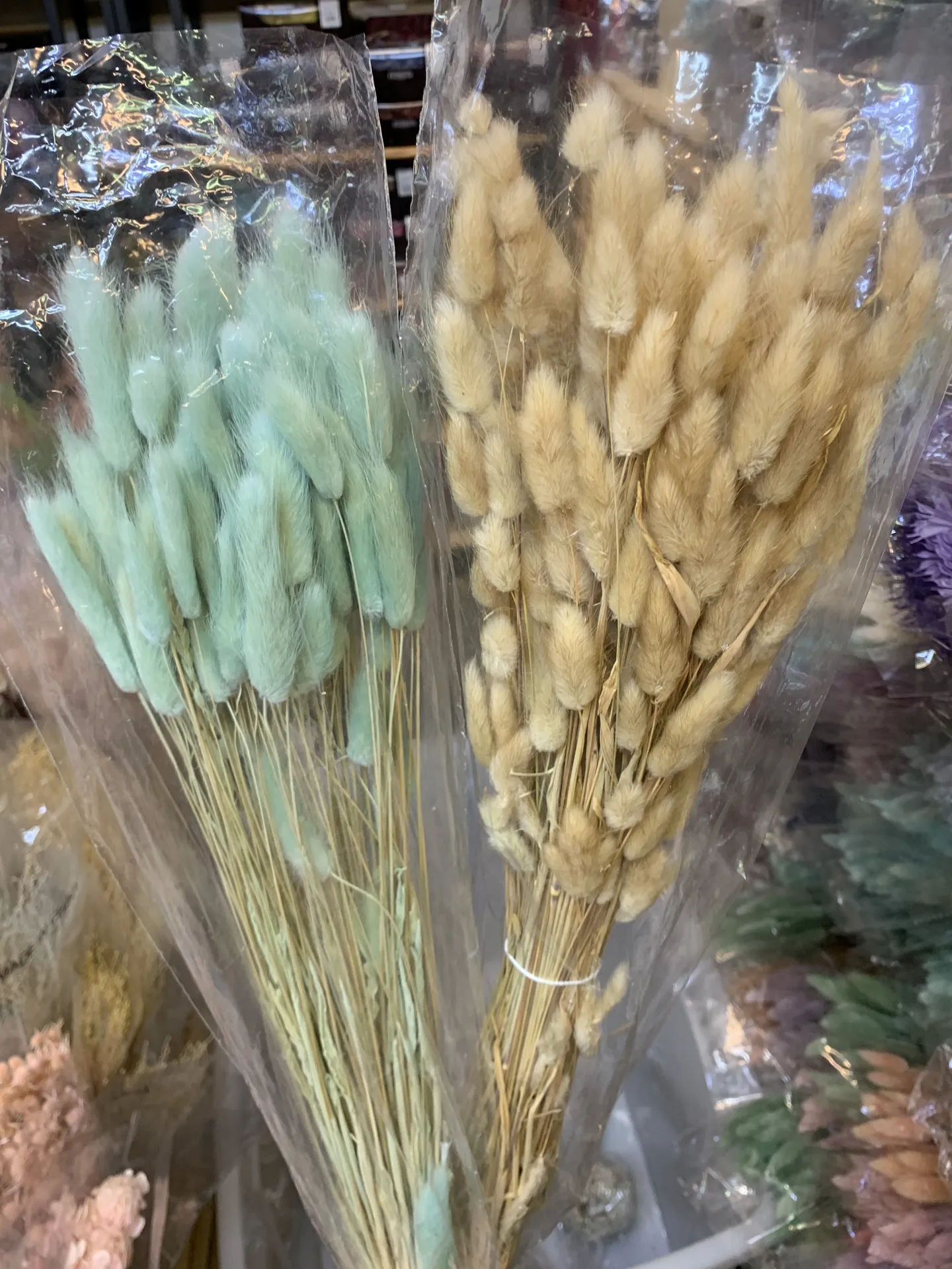 歐洲乾燥兔尾草 大包