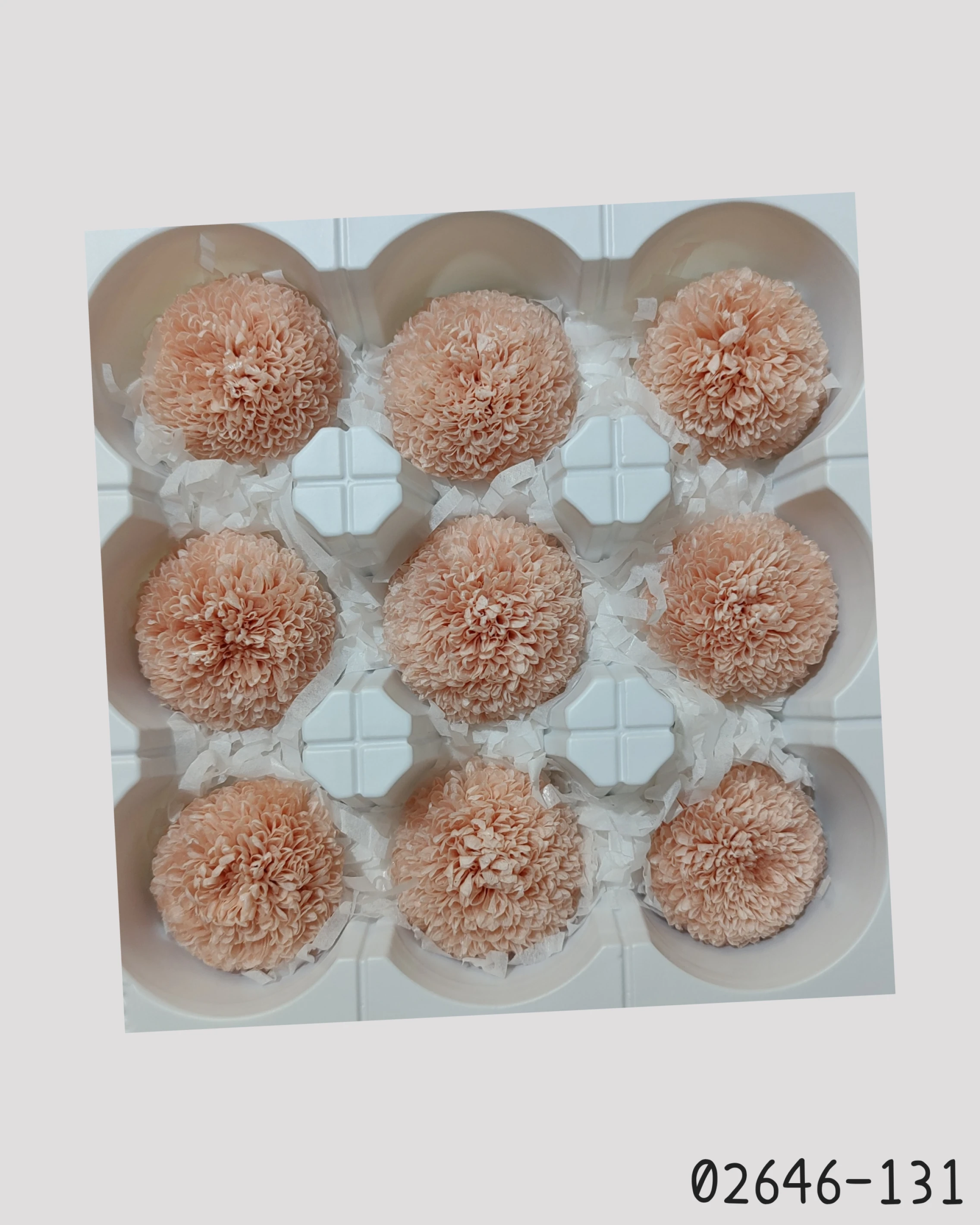 日本大地農園 乒乓菊