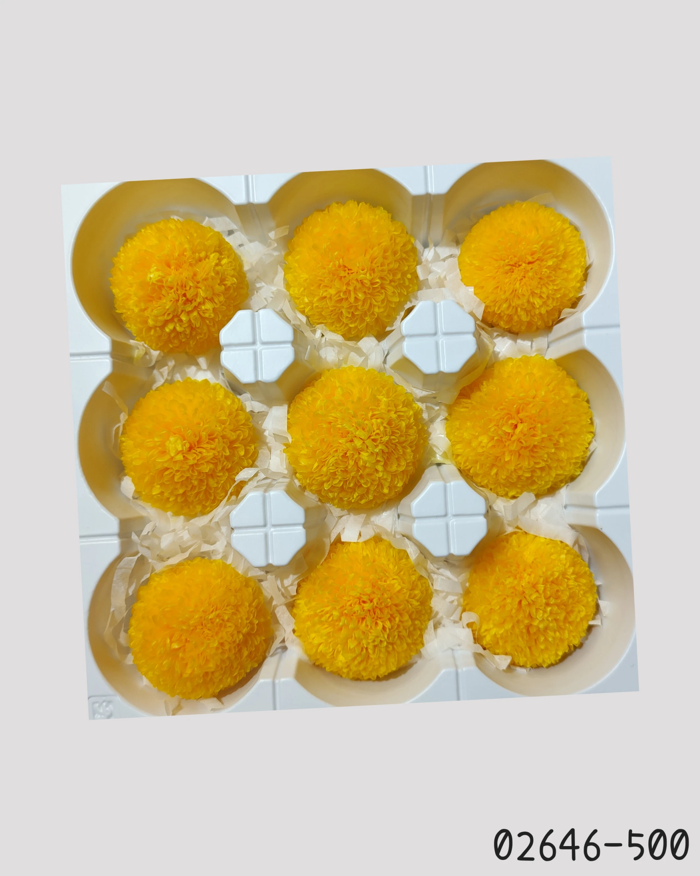 日本大地農園 乒乓菊