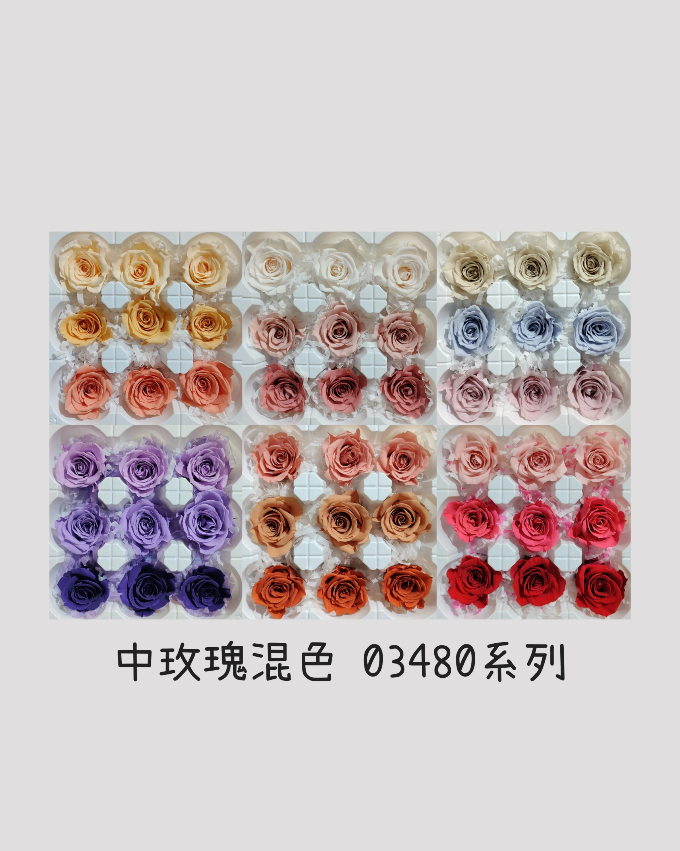 日本大地農園 中玫瑰混色 03480系列