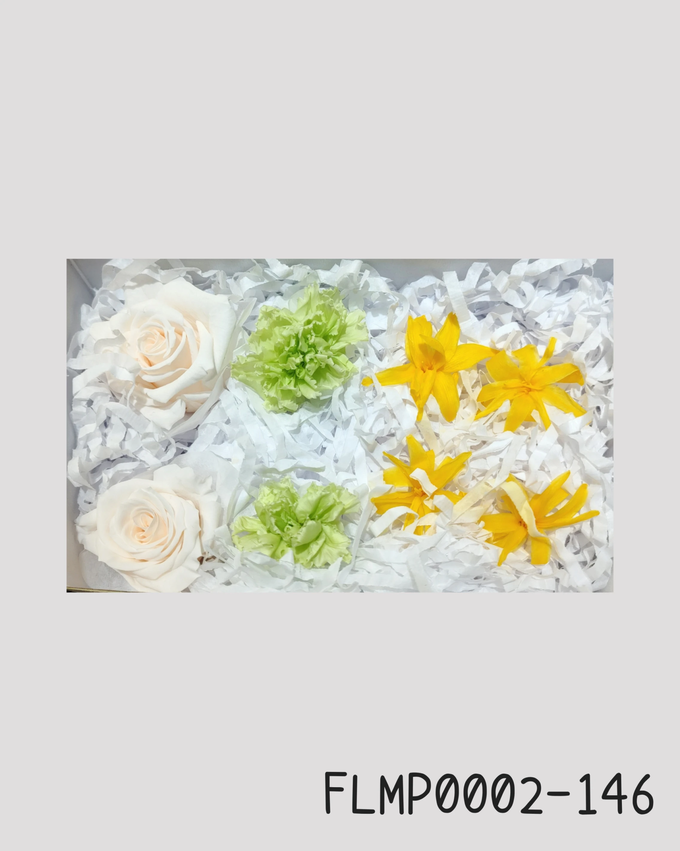 日本Florever 玫瑰康乃馨永生花組合 黃綠色系