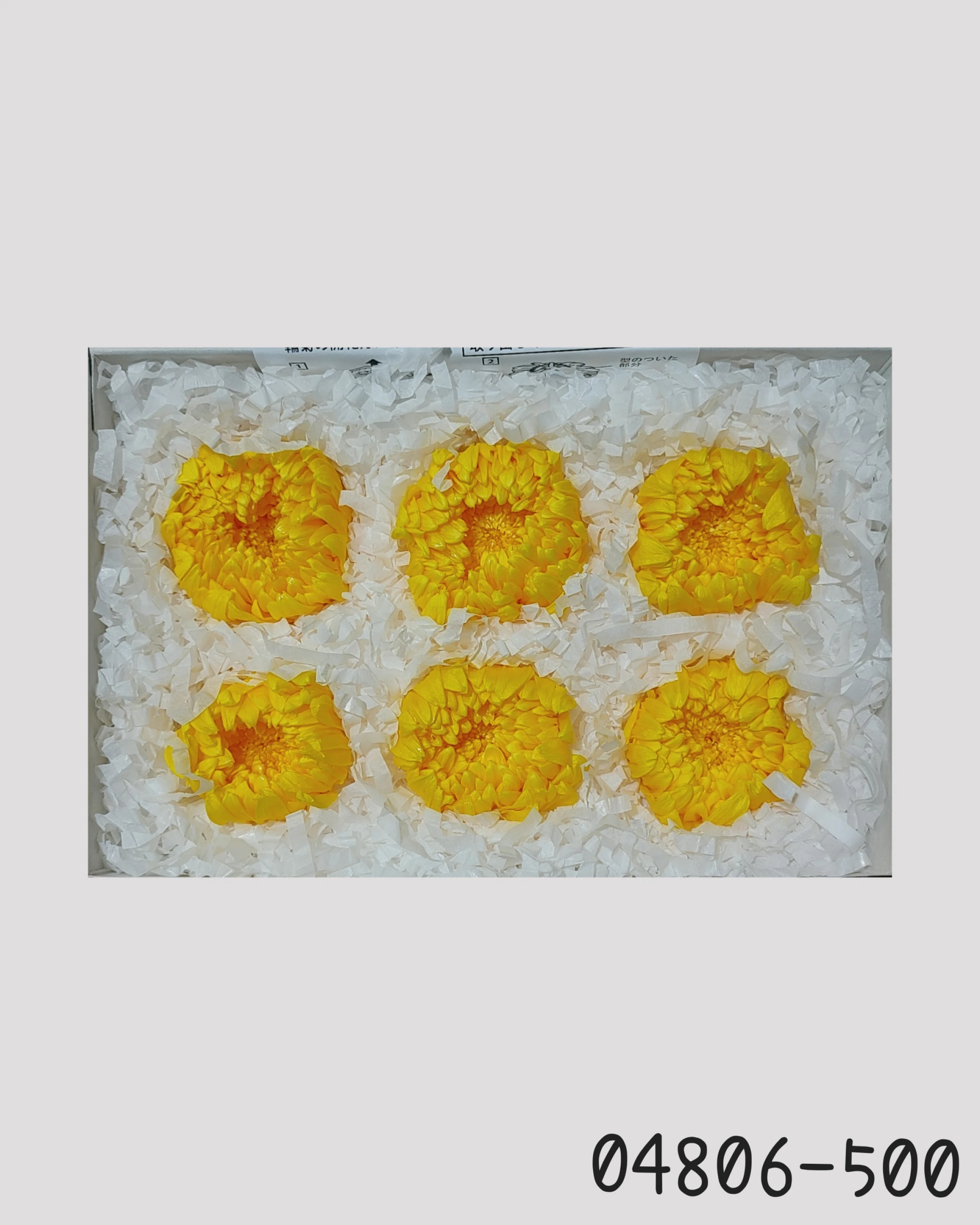 日本大地農園 輪菊