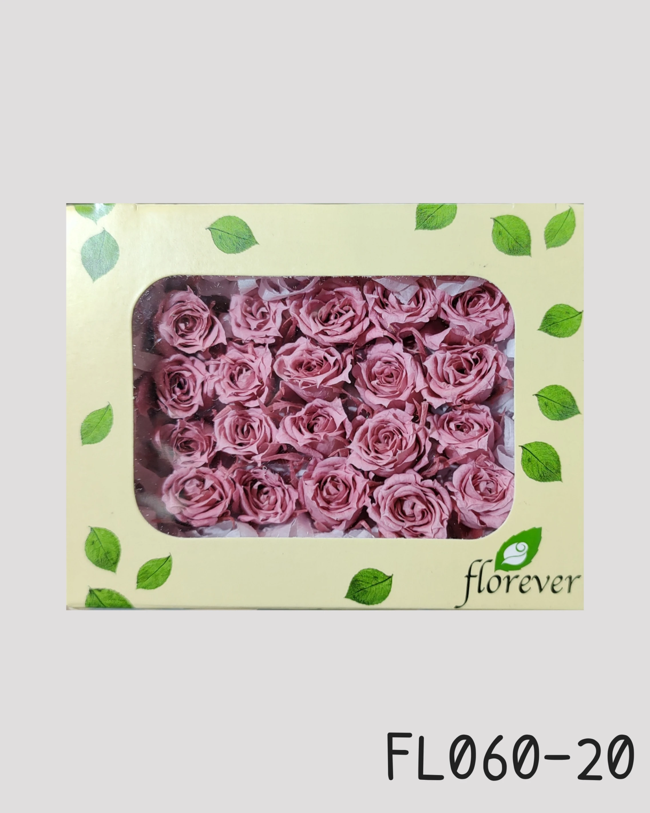 日本Florever 微型玫瑰