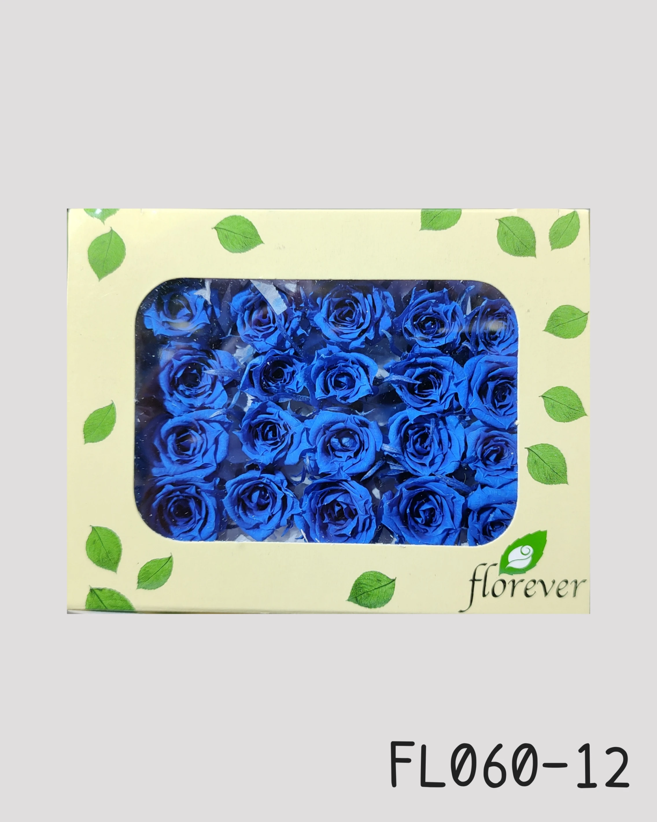 日本Florever 微型玫瑰