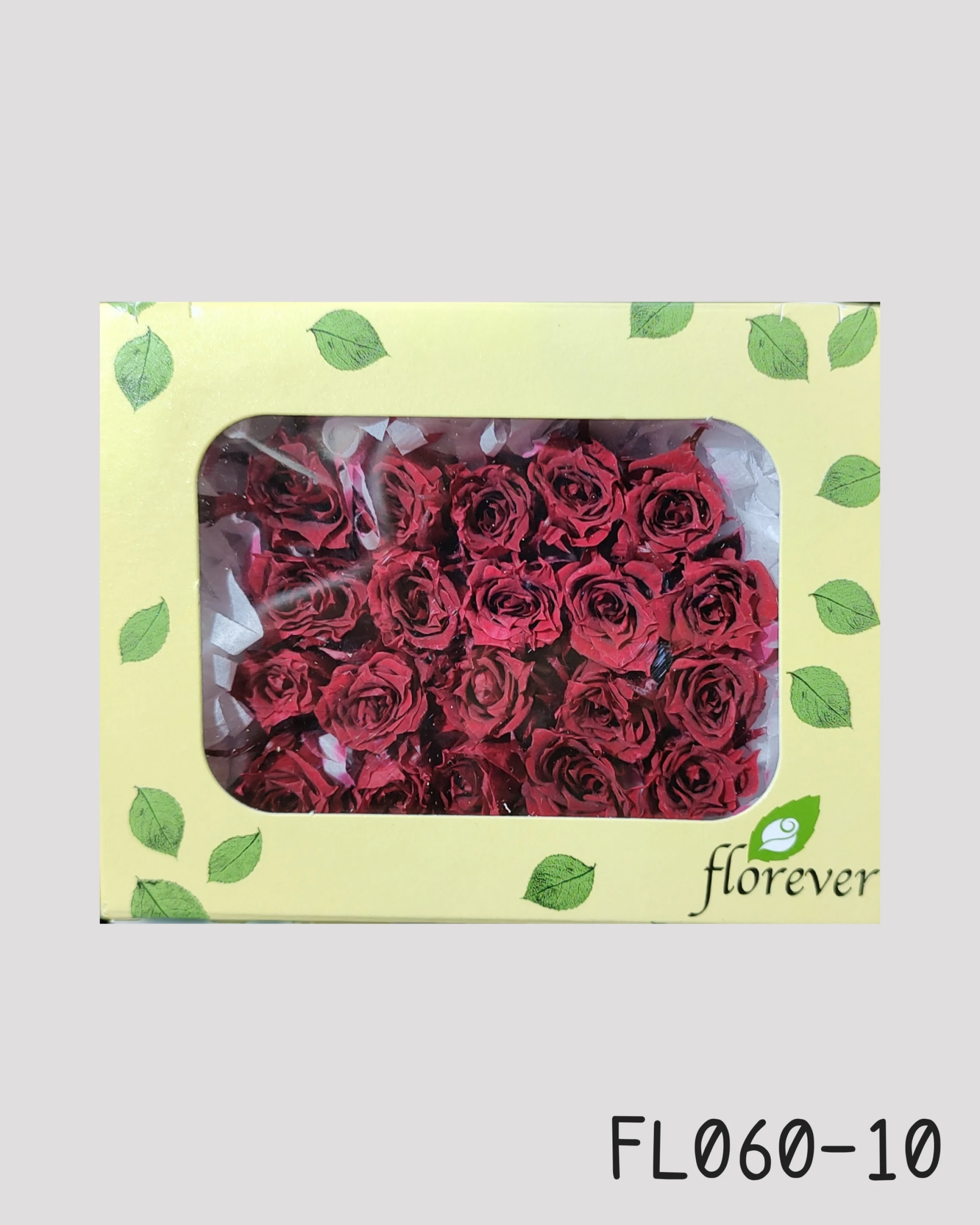 日本Florever 微型玫瑰